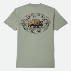 Coba Short Sleeve T-Shirt - Desert Green